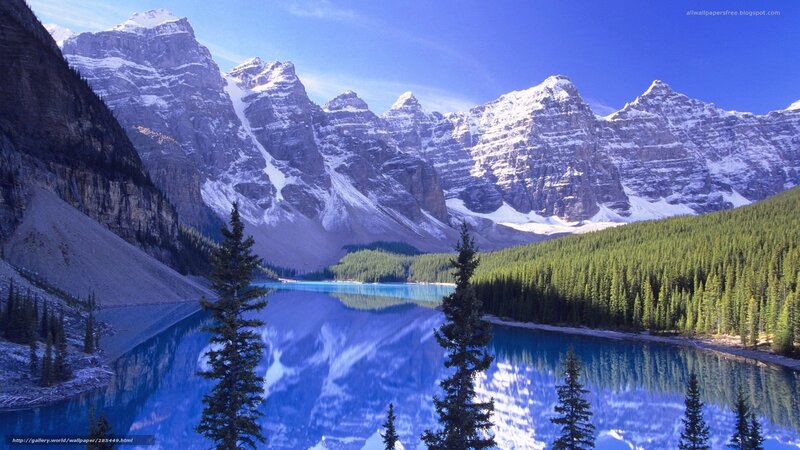 Mountain lake with forest reflection