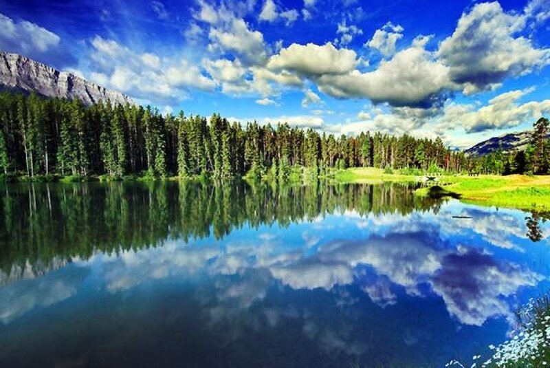 Mountain lake with forest reflection