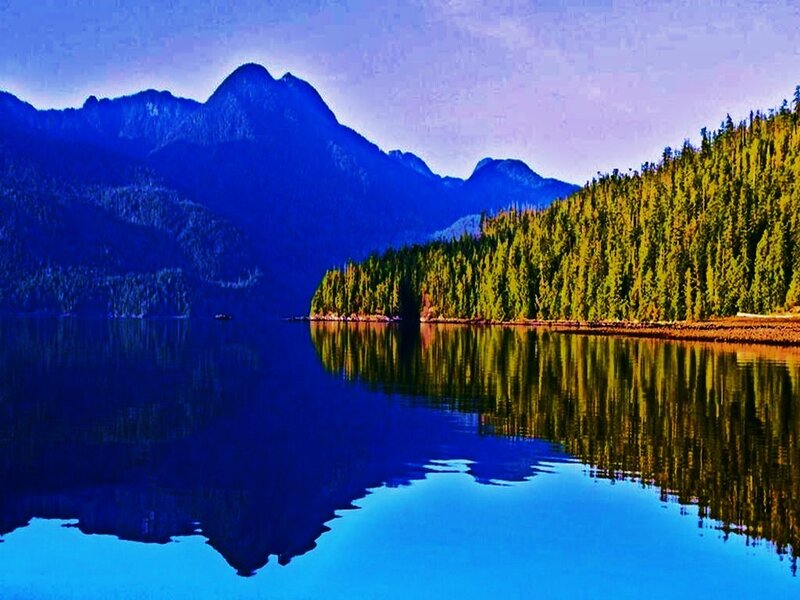 Mountain lake with forest reflection