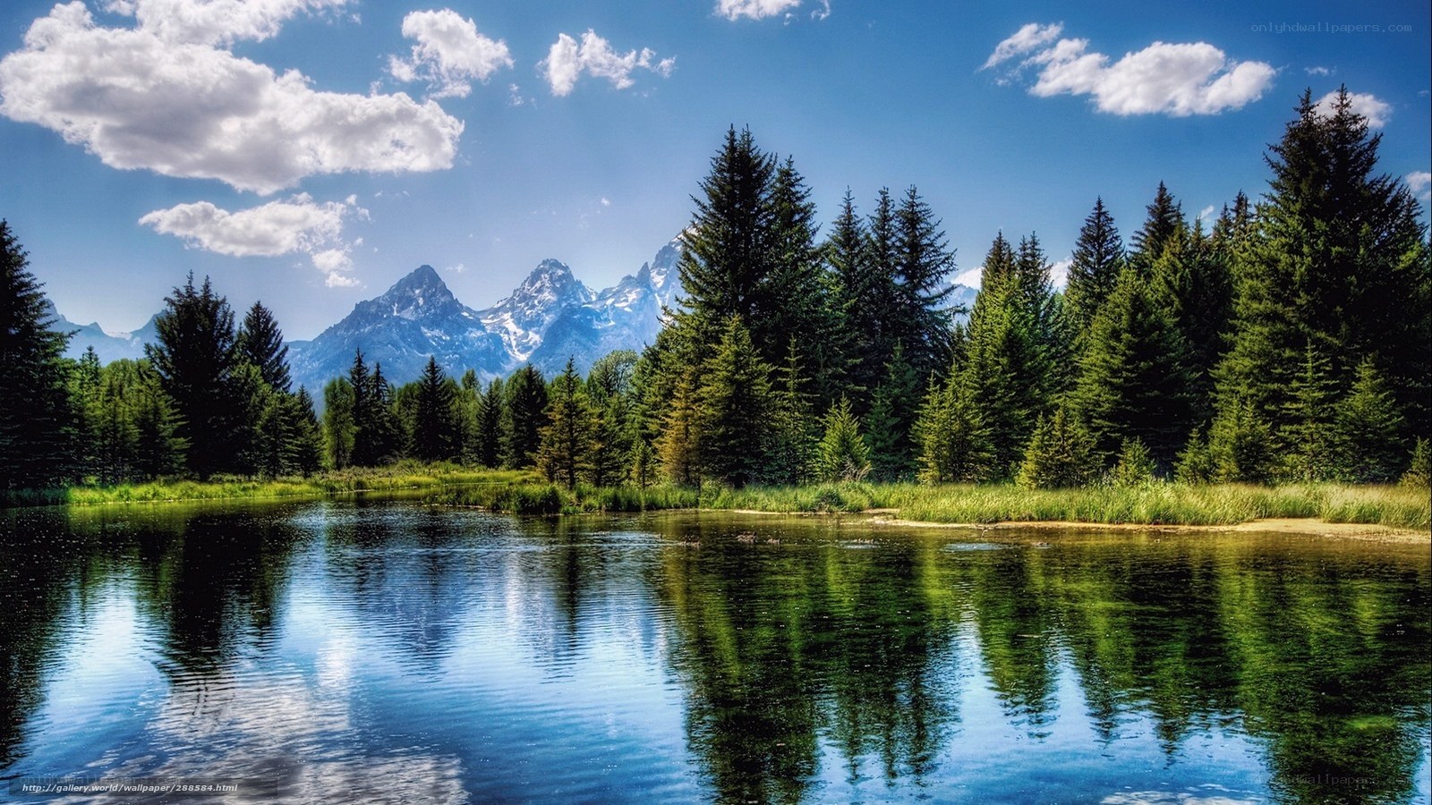 Mountain lake with forest reflection