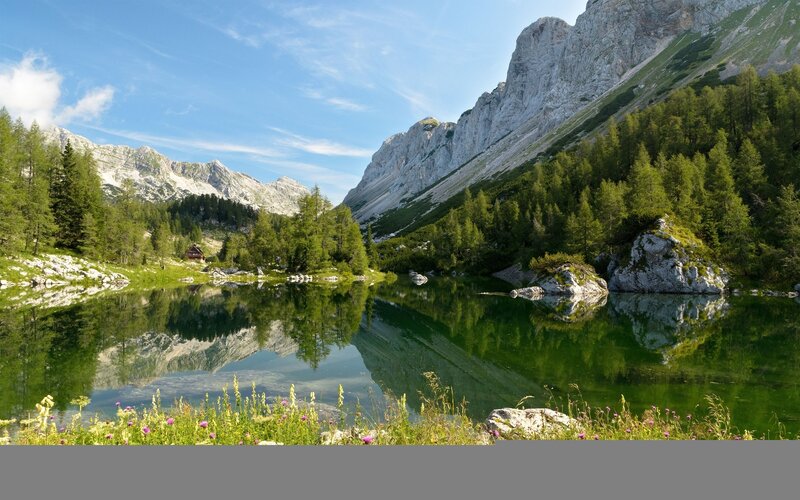 Mountain lake with forest reflection