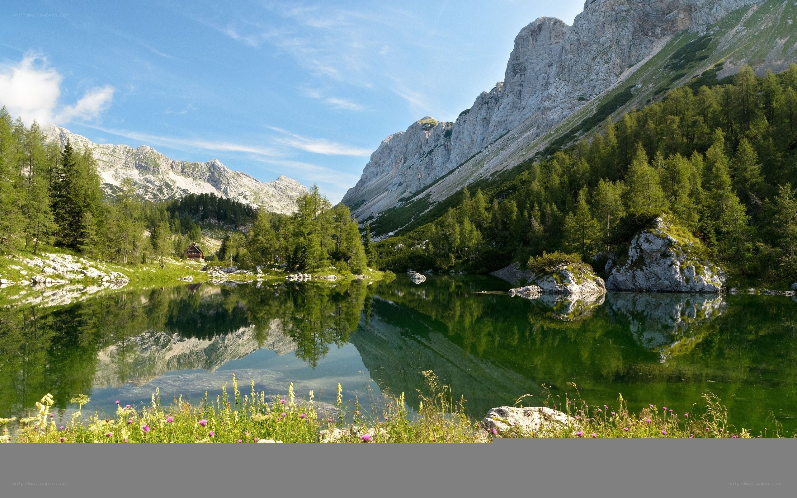 Mountain lake with forest reflection