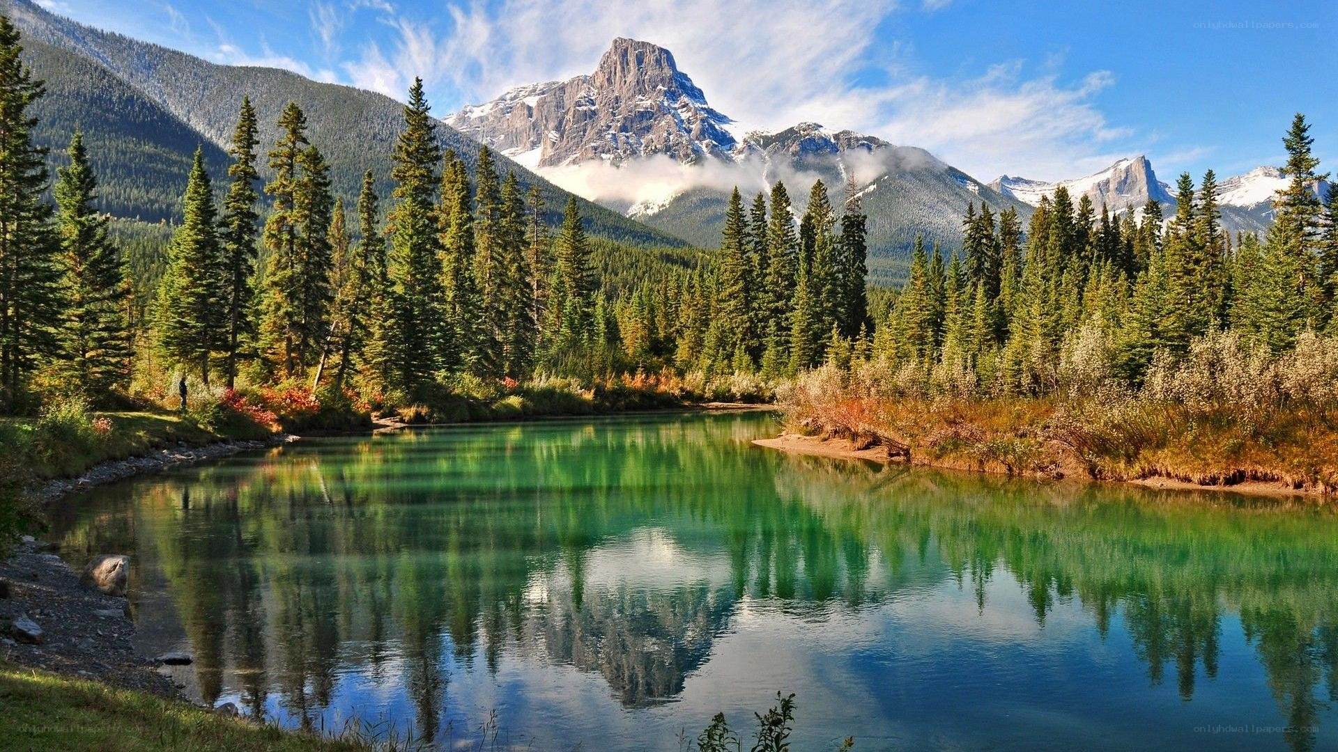 Mountain lake with forest reflection