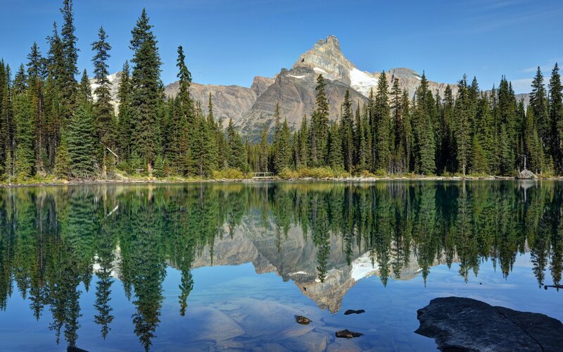 Mountain lake with forest reflection