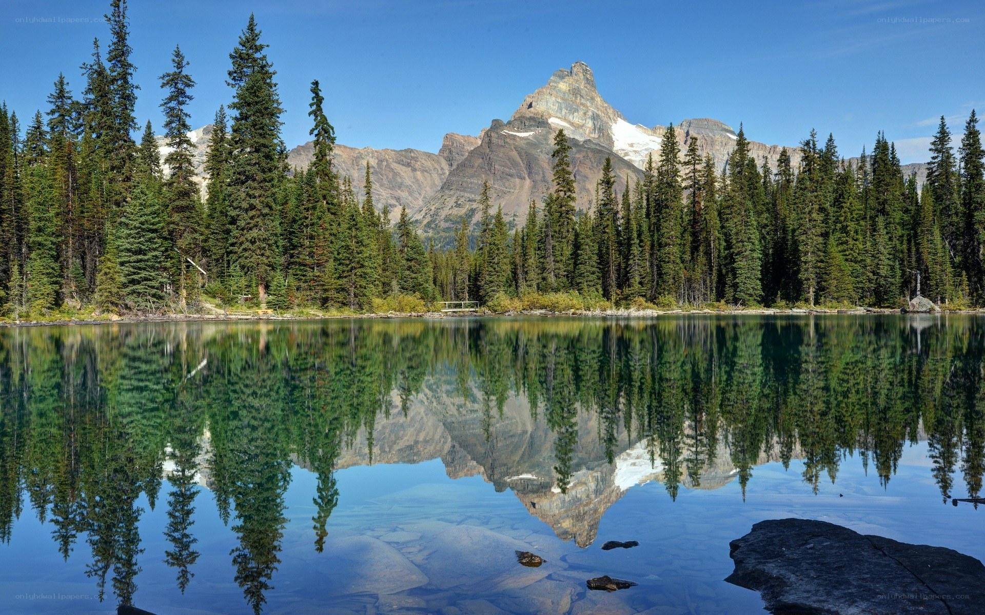 Mountain lake with forest reflection