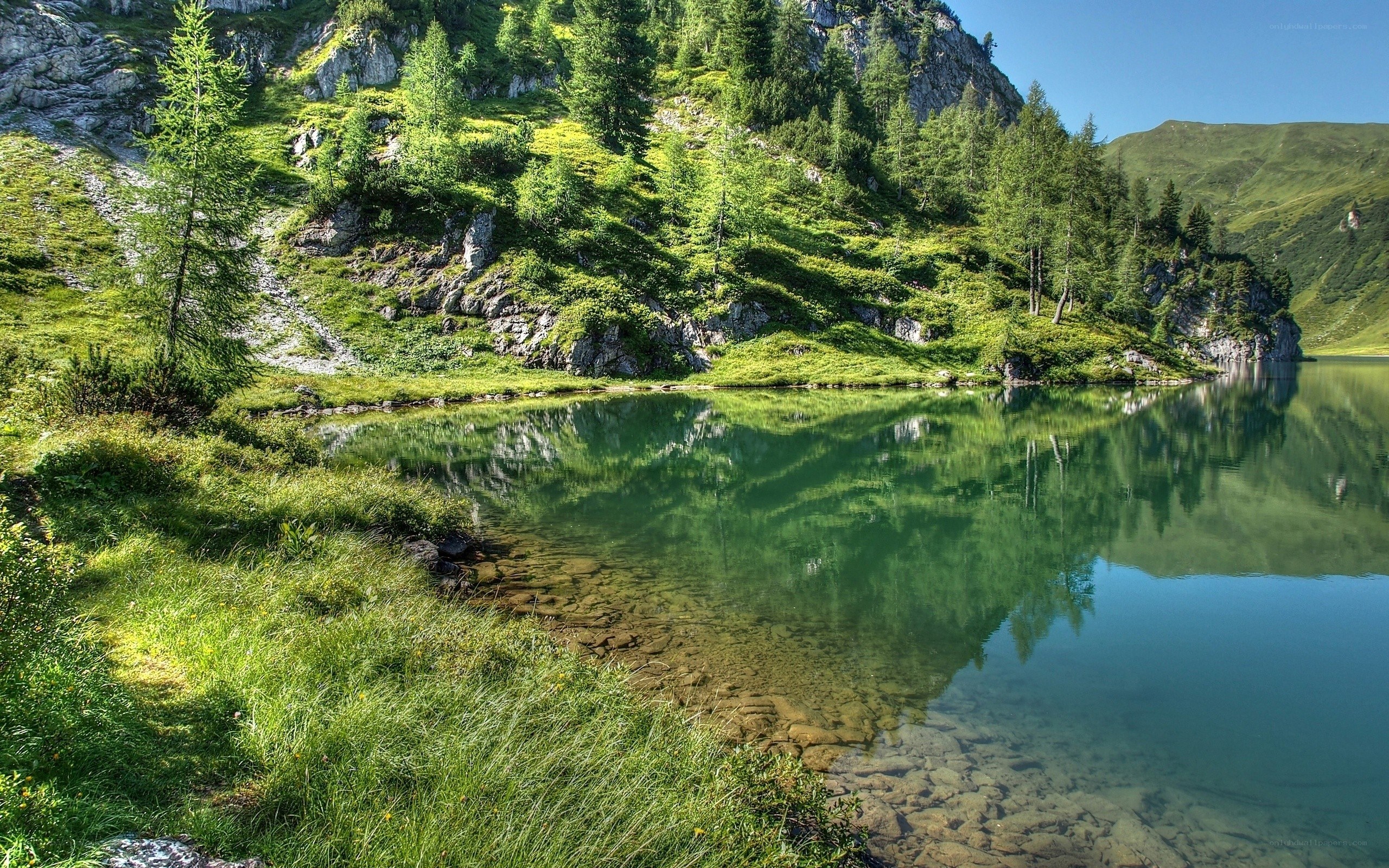 Mountain lake with forest reflection