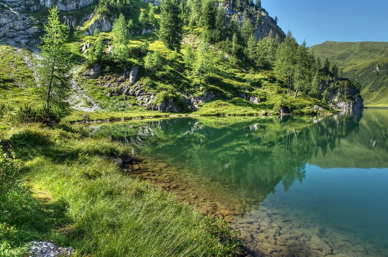 Mountain lake with forest reflection