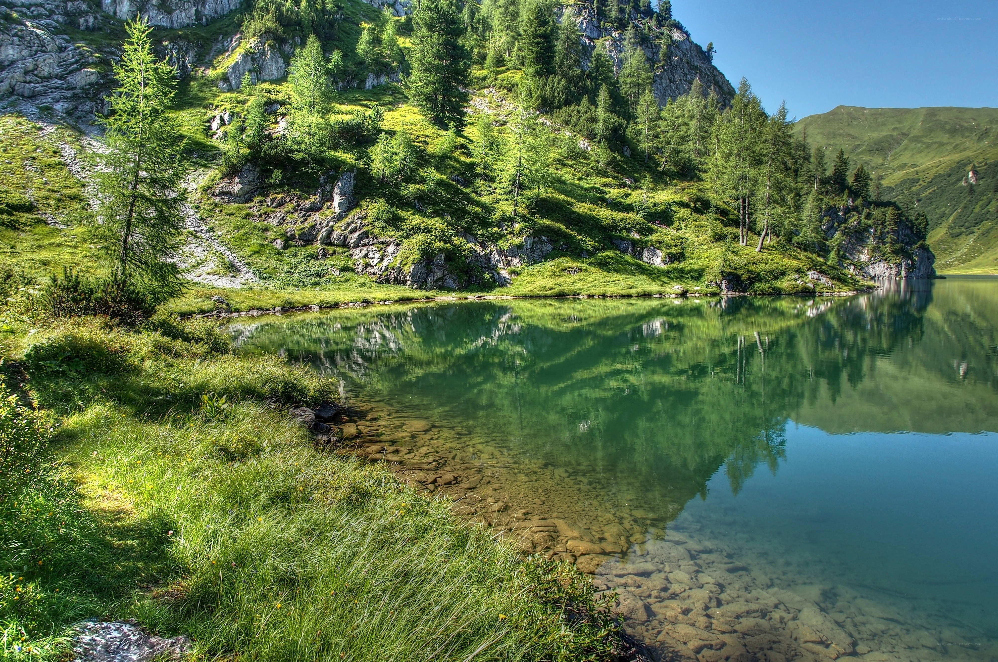 Mountain lake with forest reflection