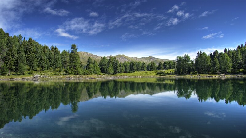 Mountain lake with forest reflection