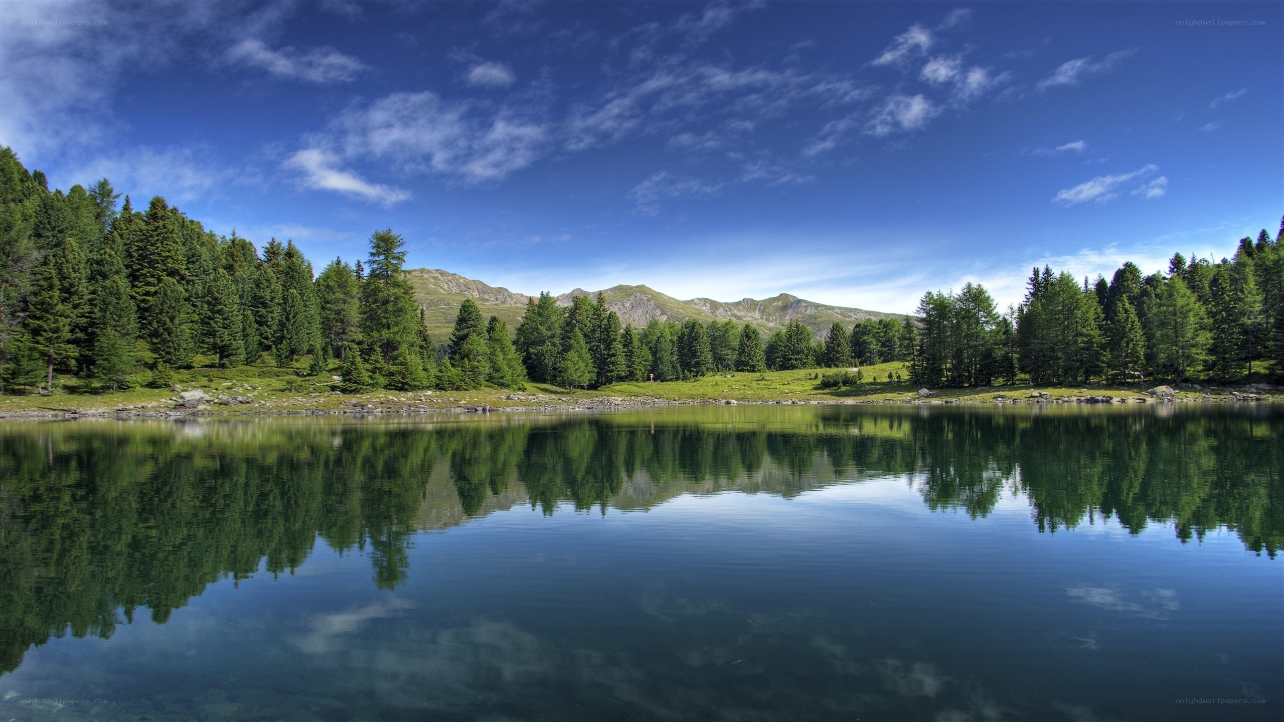 Mountain lake with forest reflection