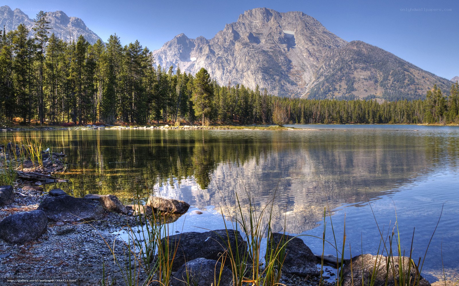 Mountain lake with forest reflection