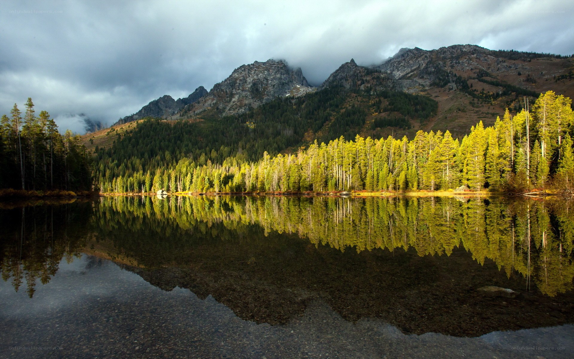 Mountain lake with forest reflection