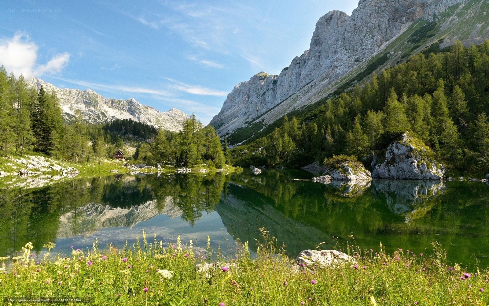 Mountain lake with forest reflection
