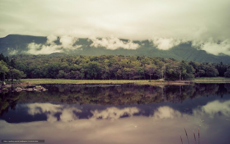 Mountain lake with forest reflection