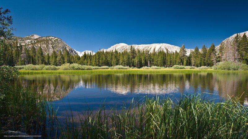 Mountain lake with forest reflection
