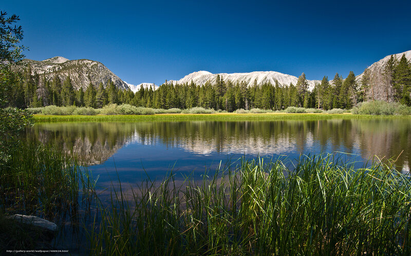 Mountain lake with forest reflection
