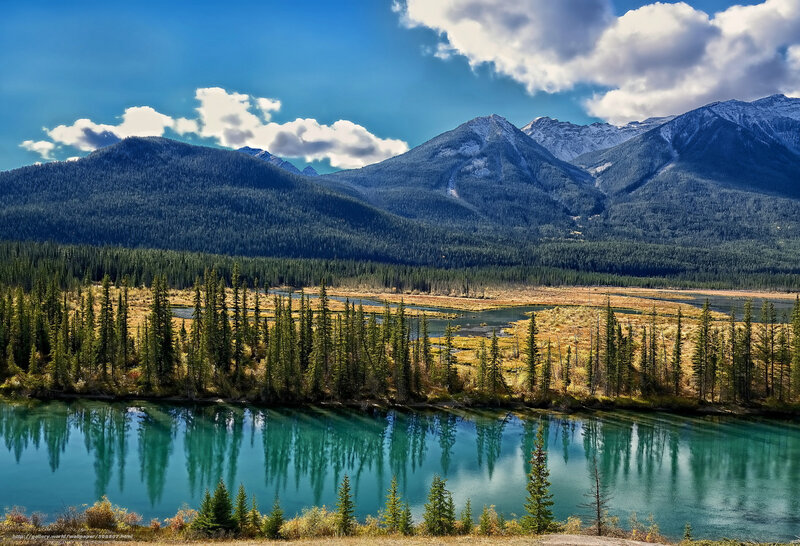 Mountain lake with forest reflection