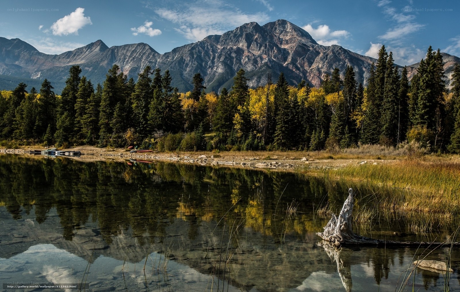 Mountain lake with forest reflection