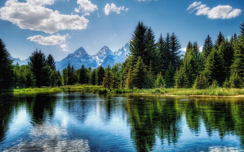Mountain lake with forest reflection