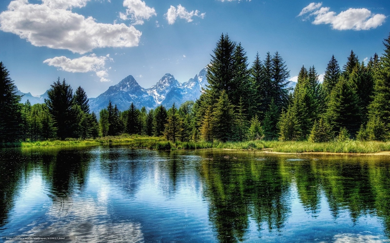 Mountain lake with forest reflection