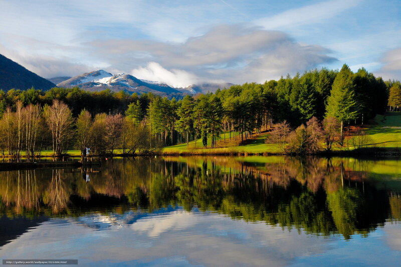 Mountain lake with forest reflection