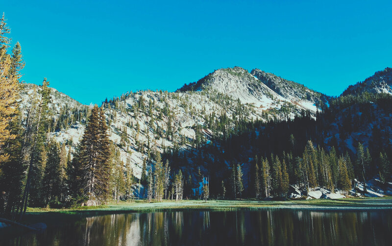 Mountain lake with forest reflection