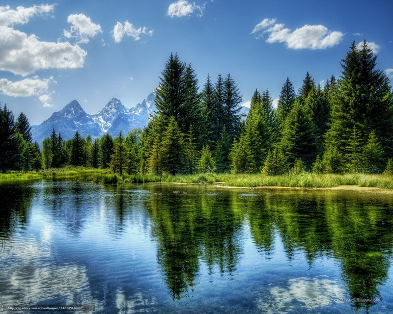 Mountain lake with forest reflection