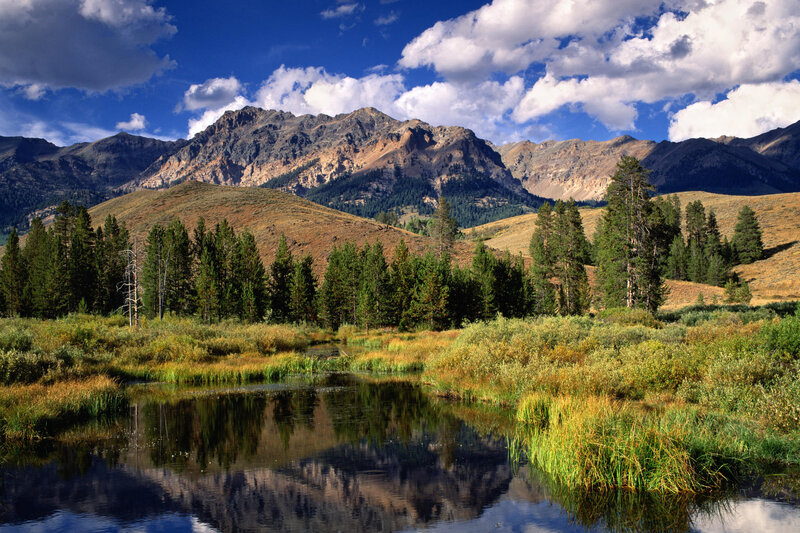 Mountain lake with forest reflection