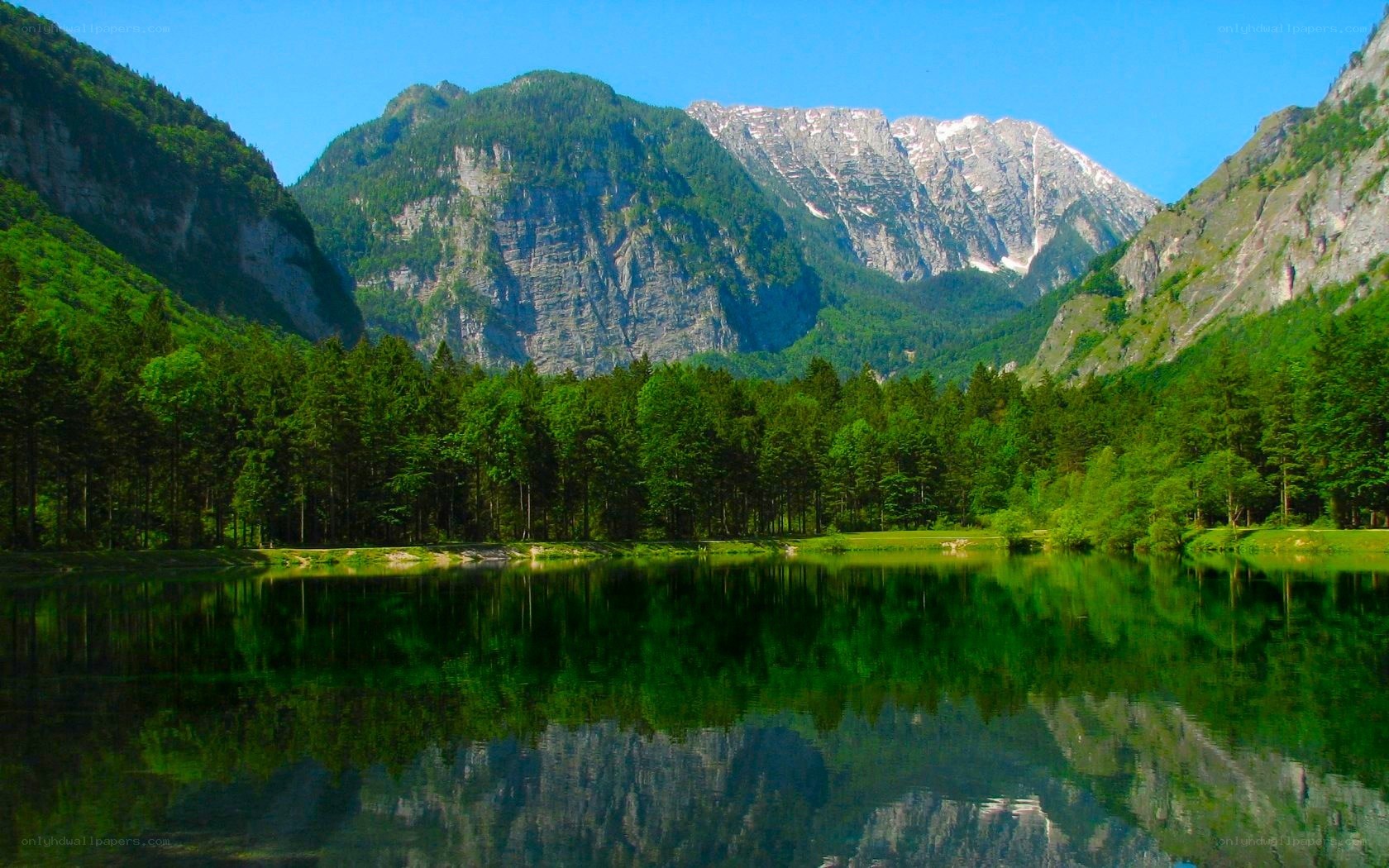 Mountain lake with forest reflection