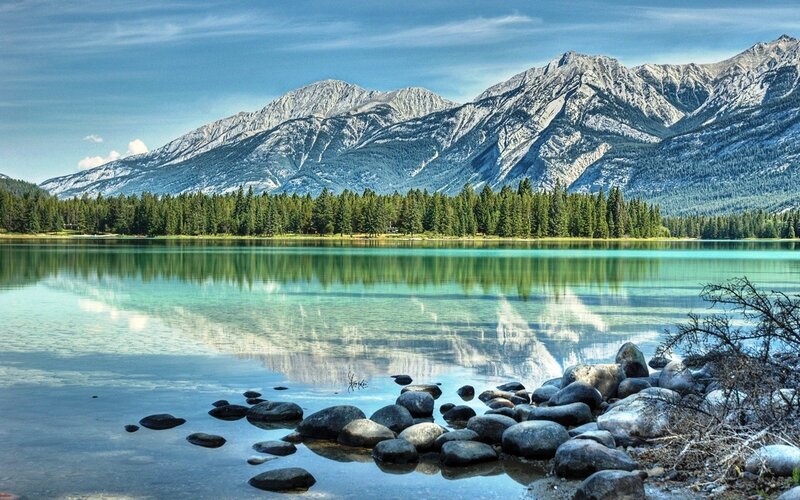 Mountain lake with forest reflection