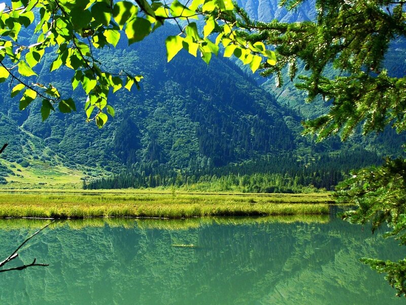 Mountain lake with forest reflection