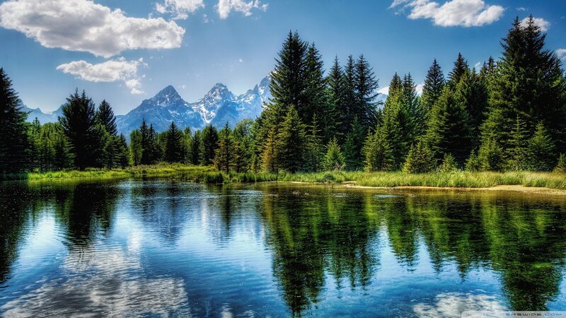 Mountain lake with forest reflection