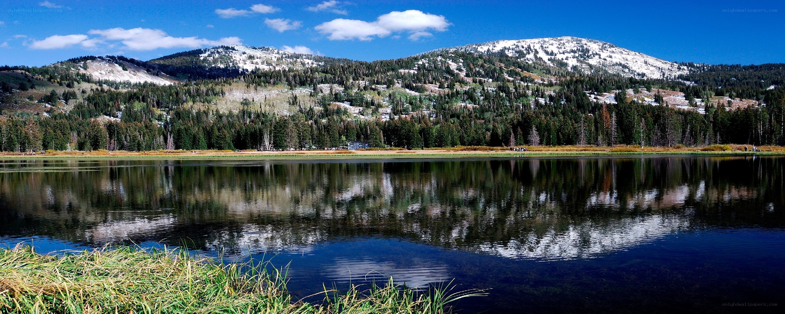 Mountain lake with forest reflection