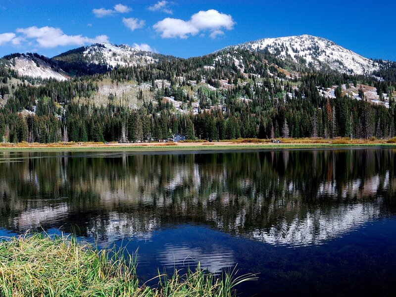 Mountain lake with forest reflection