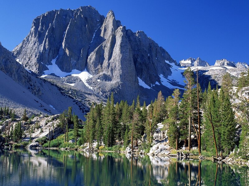 Mountain lake with forest reflection