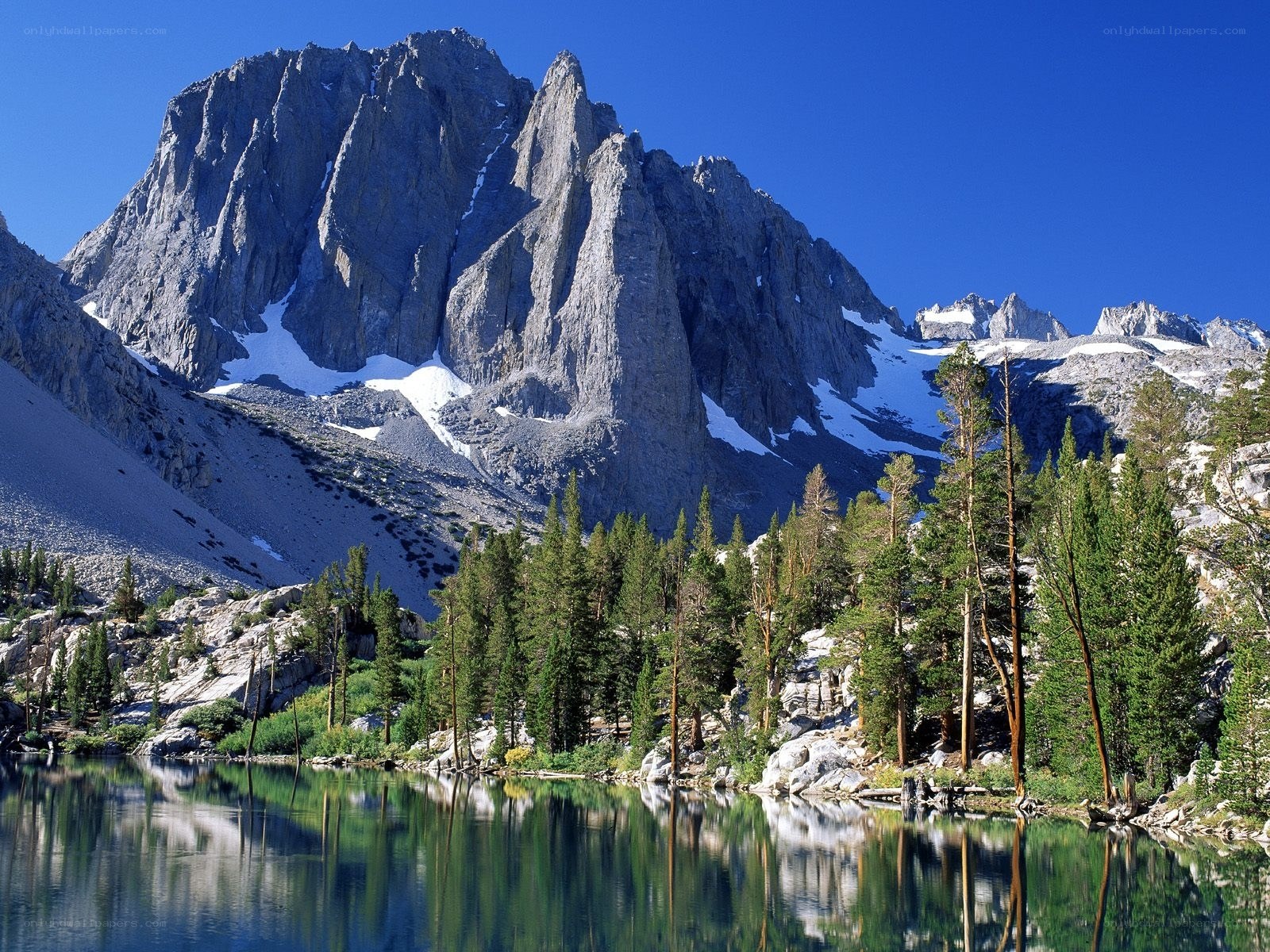 Mountain lake with forest reflection