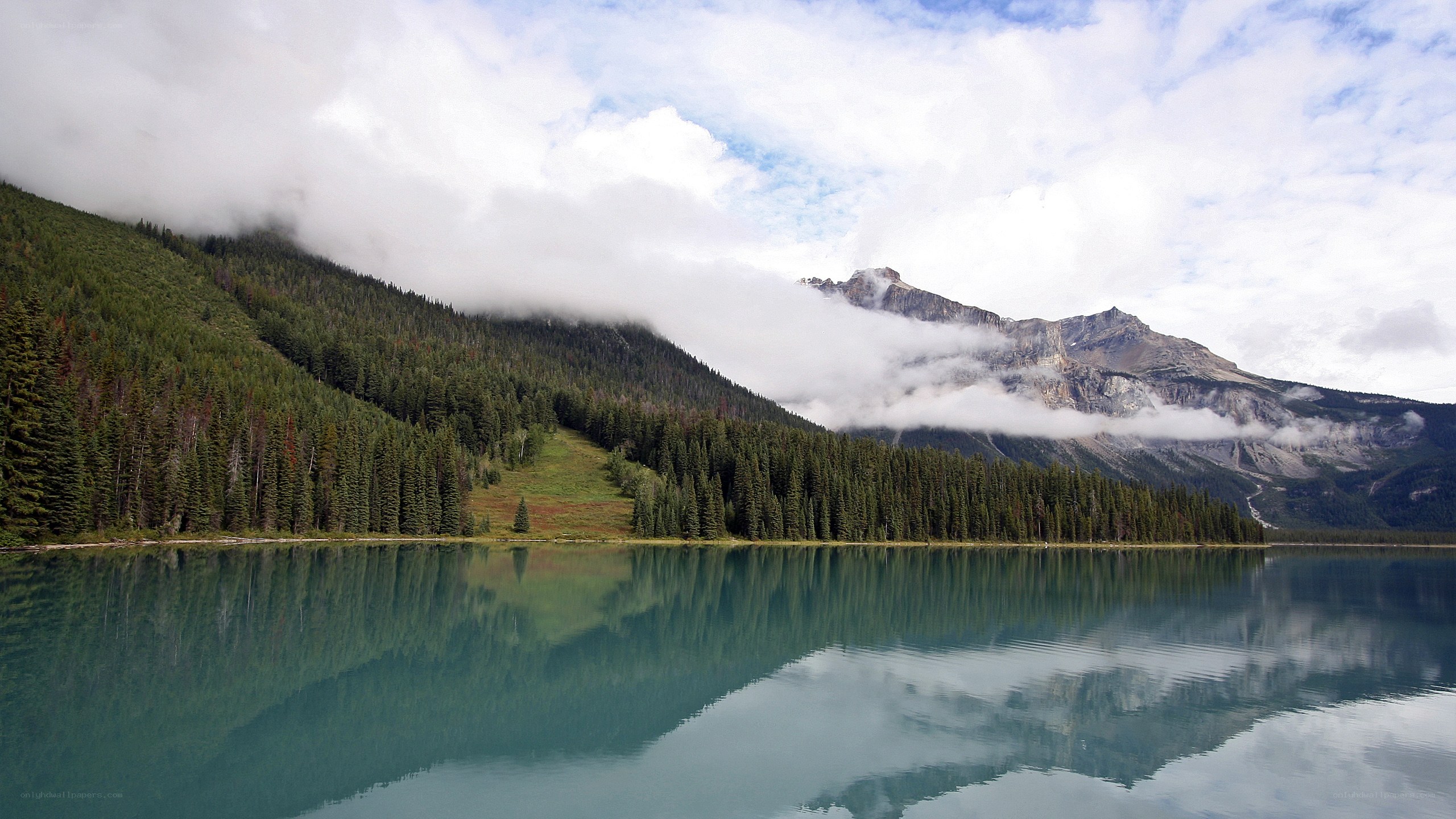 Mountain lake with forest reflection