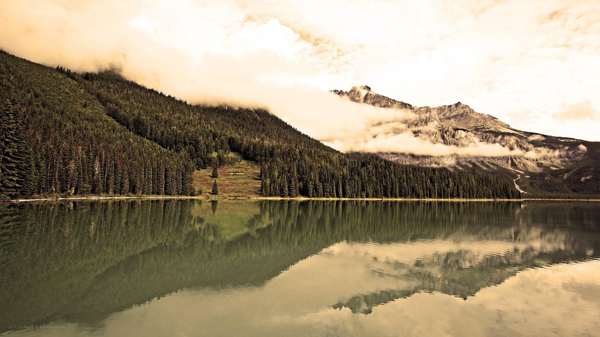 Mountain lake with forest reflection