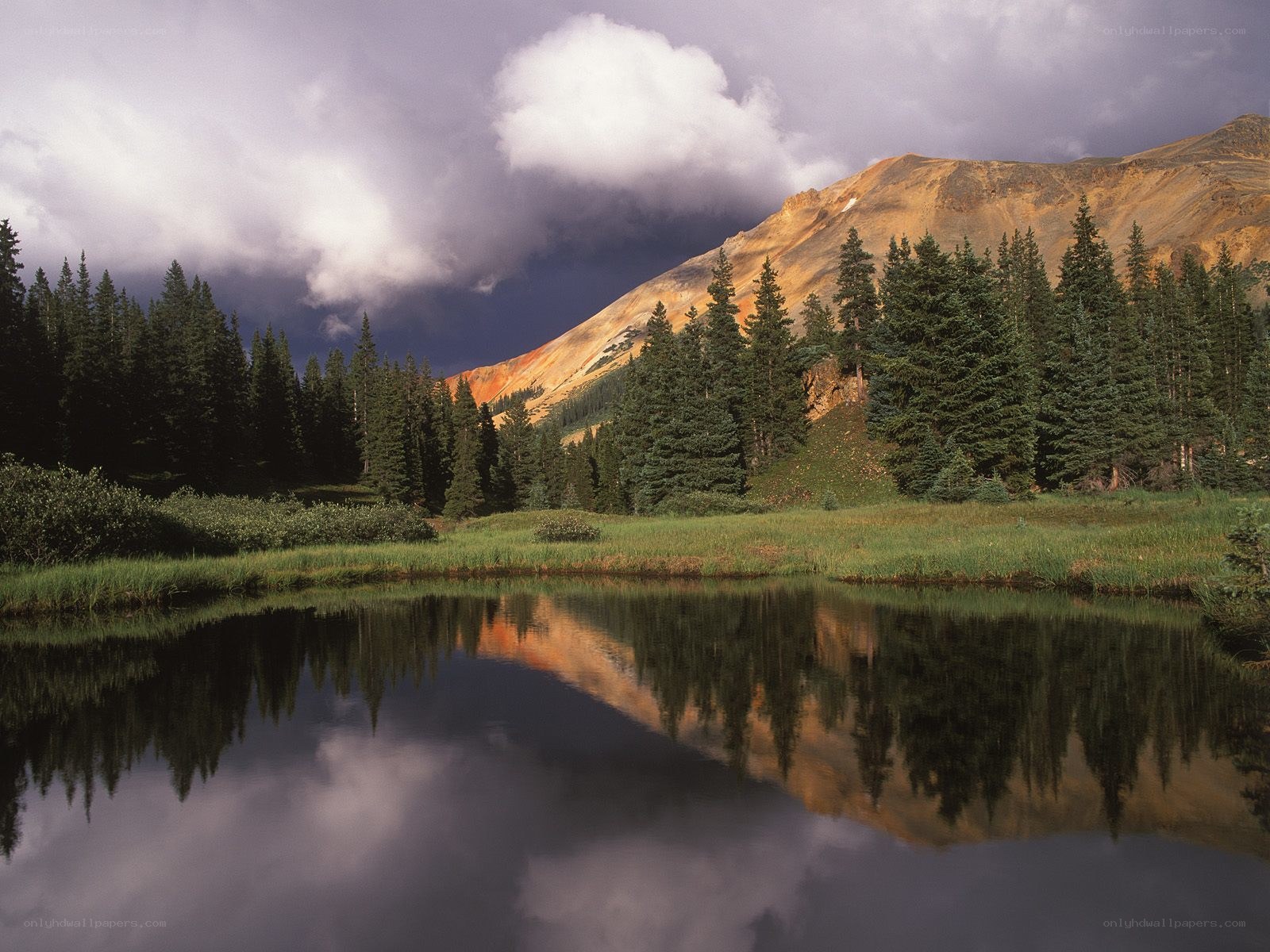 Mountain lake with forest reflection