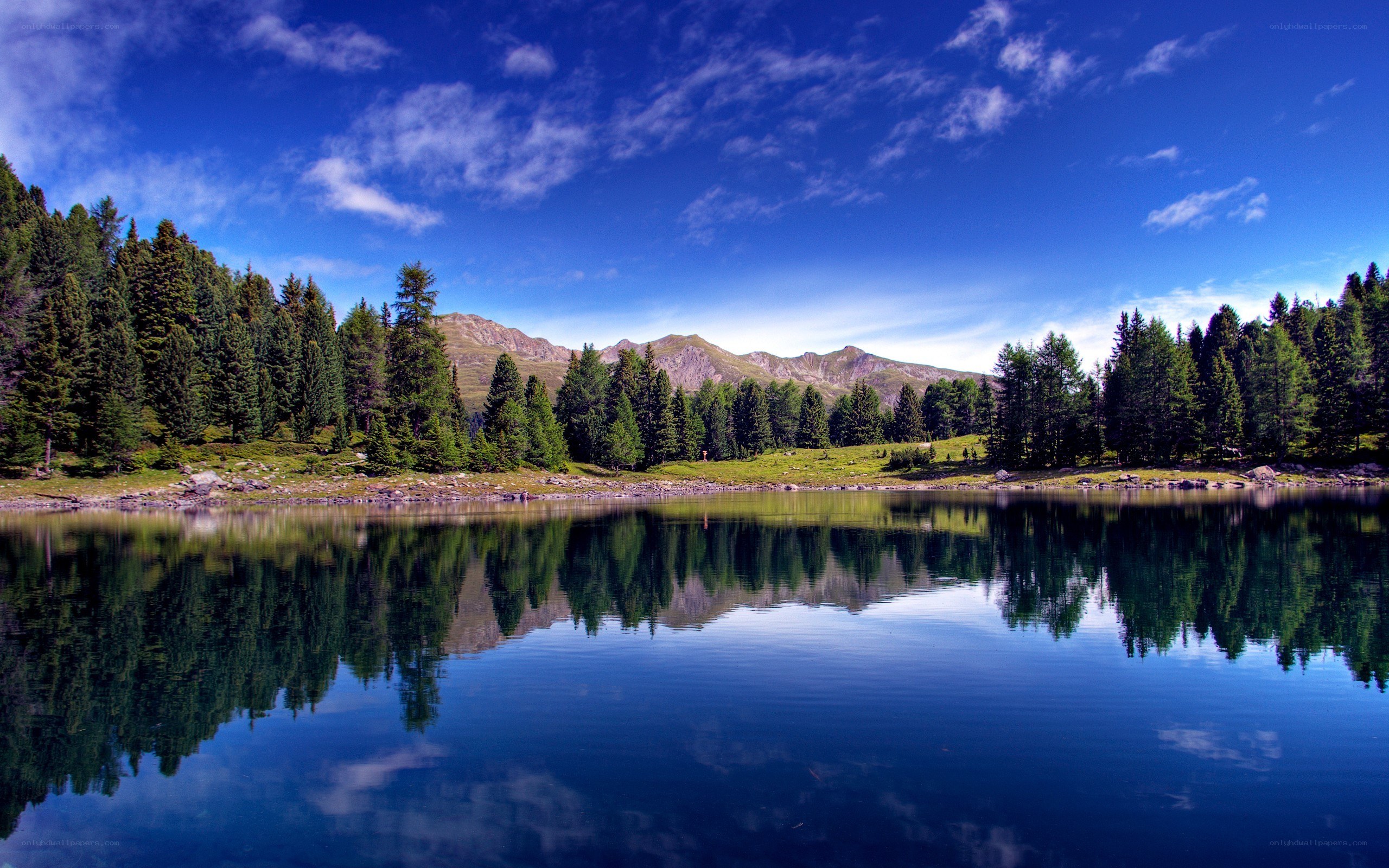 Mountain lake with forest reflection