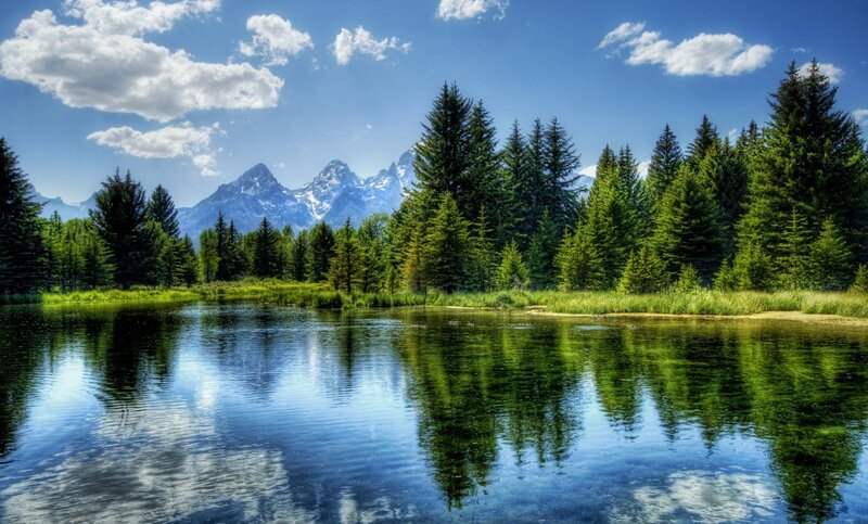 Mountain lake with forest reflection