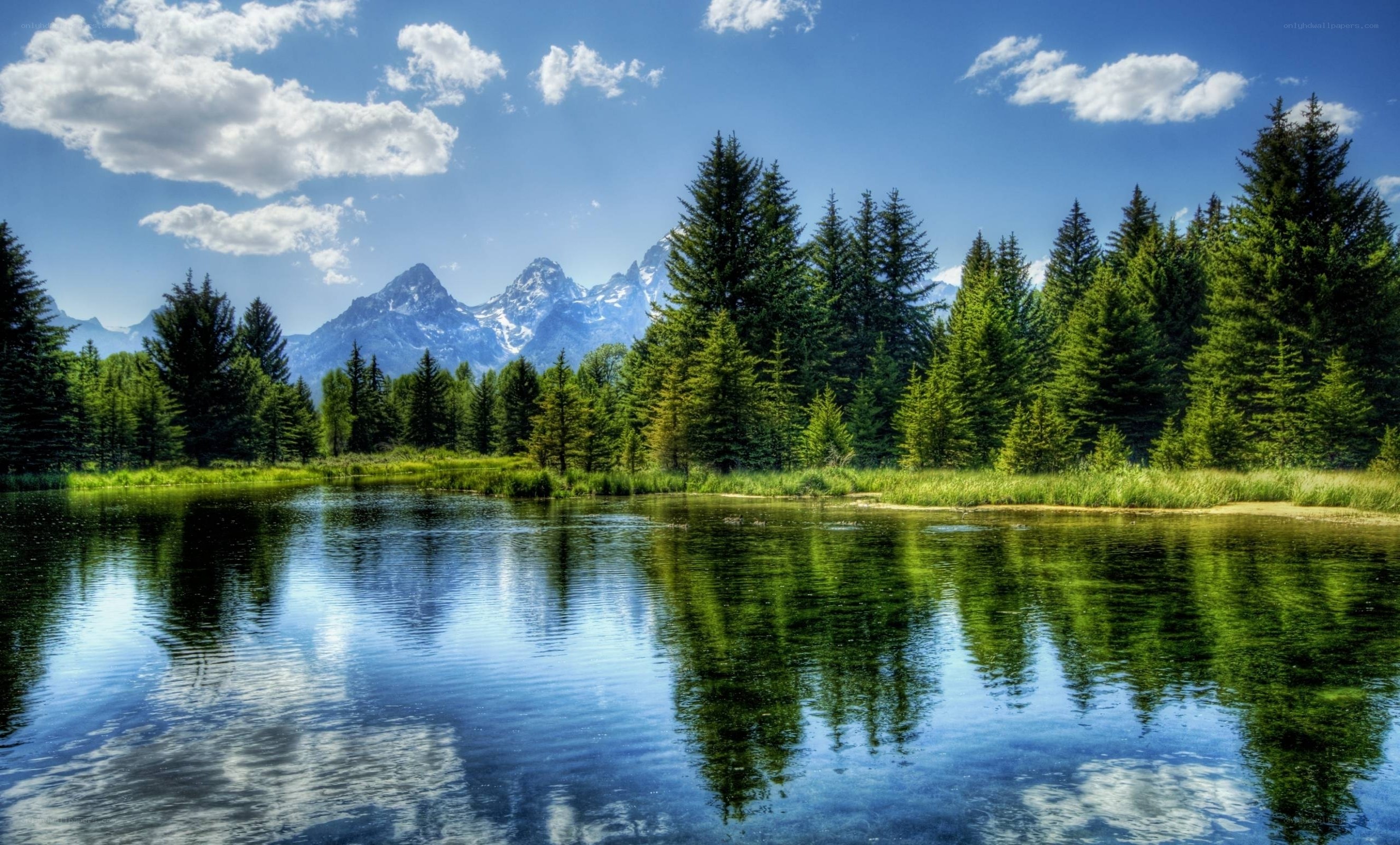 Mountain lake with forest reflection