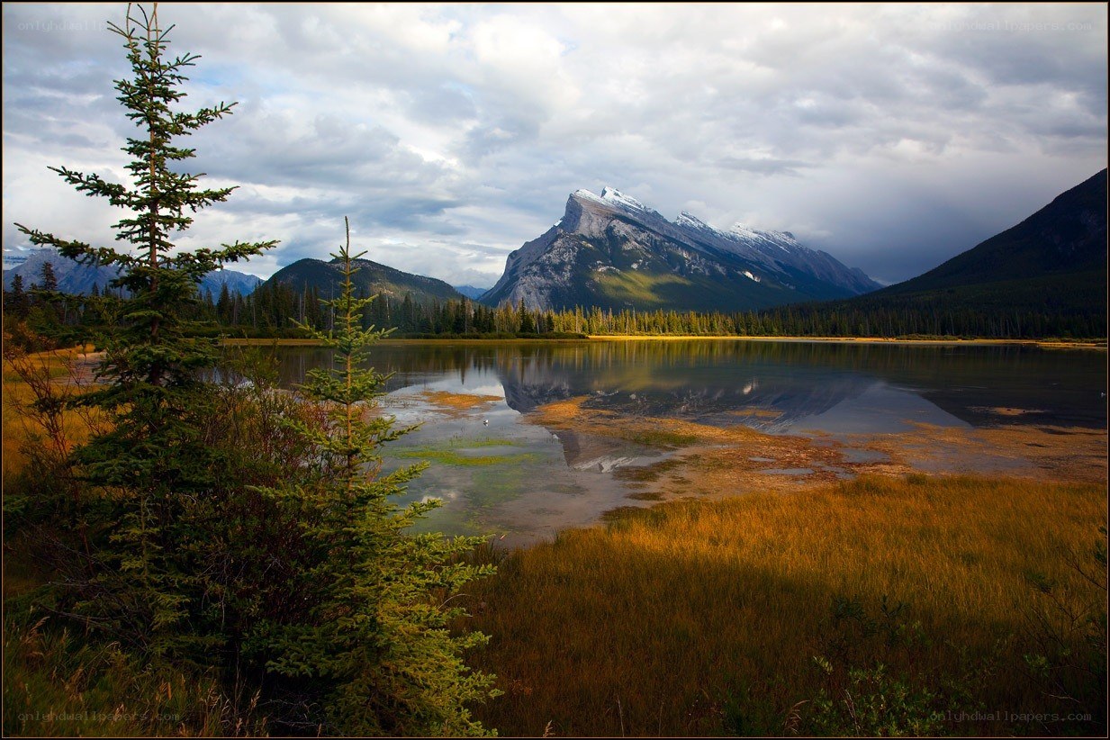 Mountain lake with forest reflection