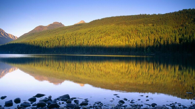 Mountain lake with forest reflection