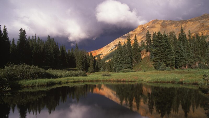 Mountain lake with forest reflection