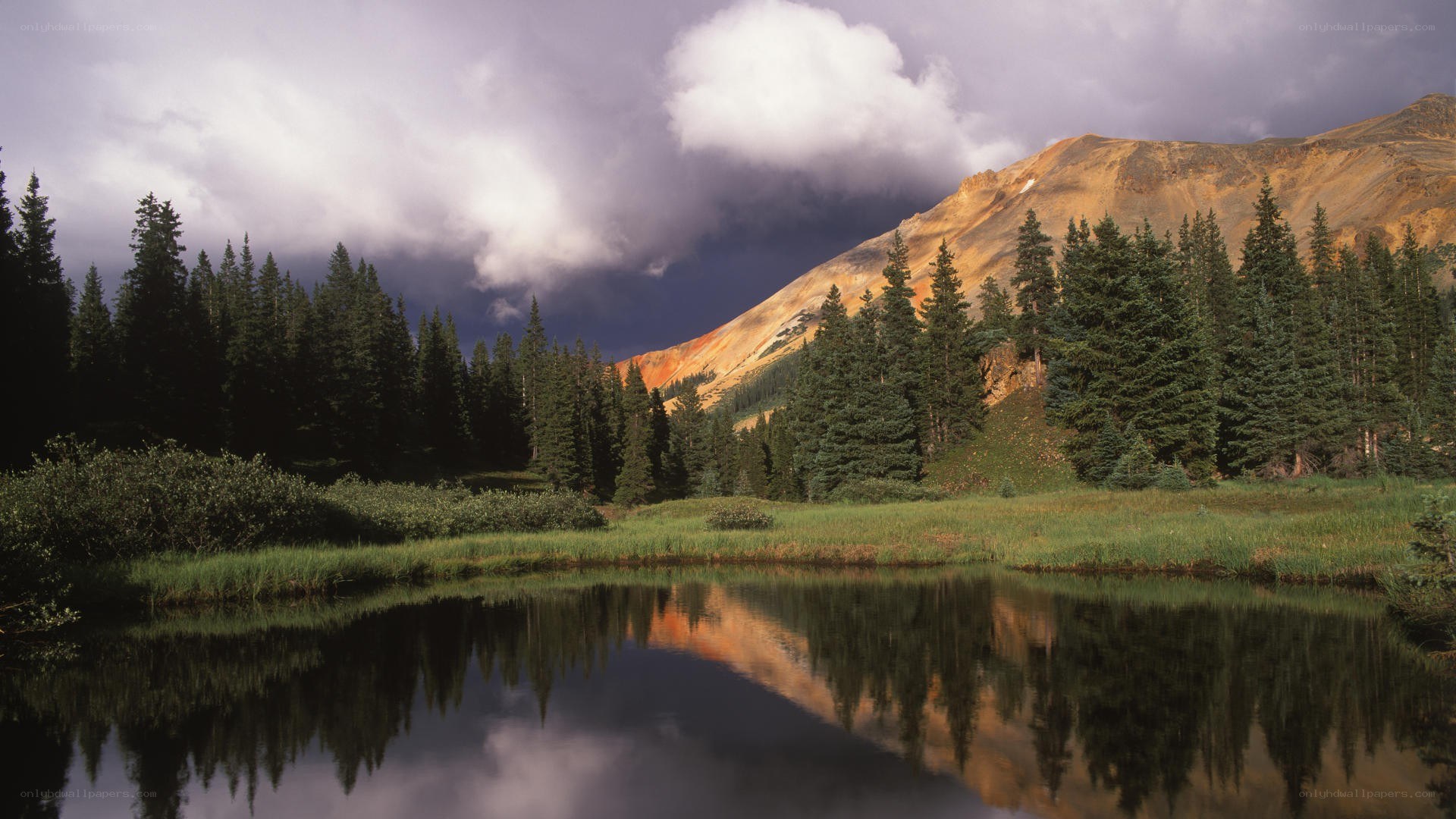 Mountain lake with forest reflection