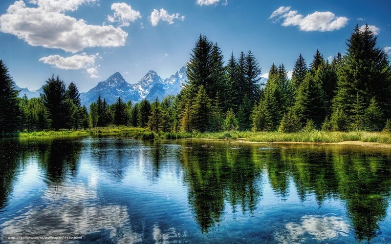 Mountain lake with forest reflection