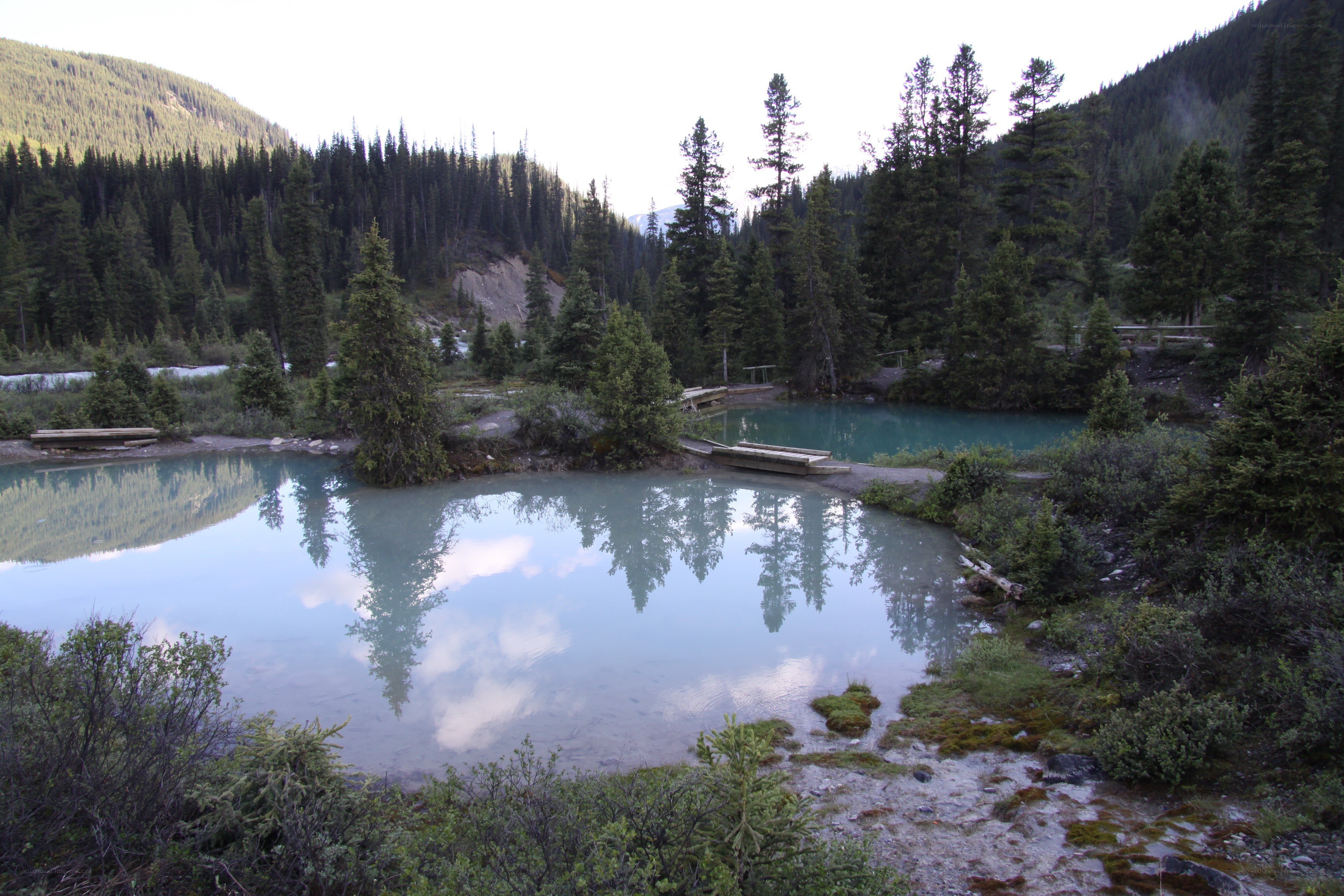 Mountain lake with forest reflections