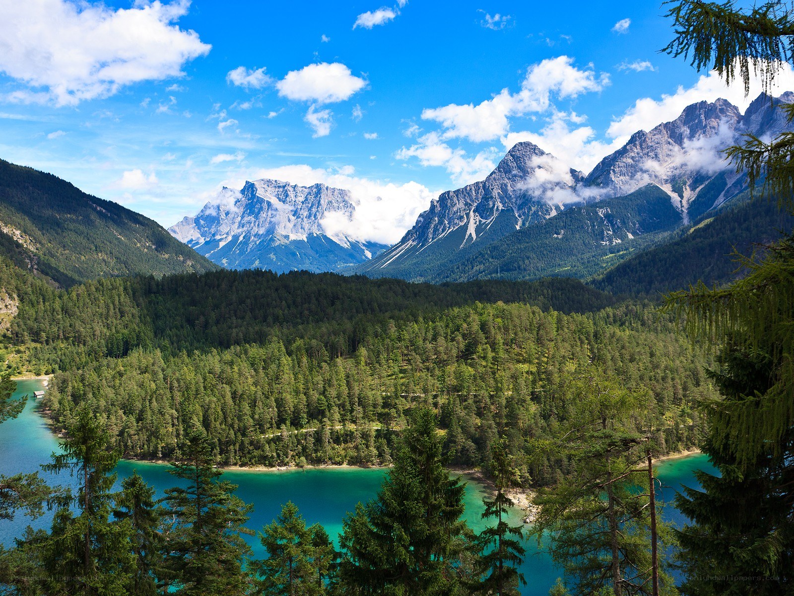 Mountain lake with forest view