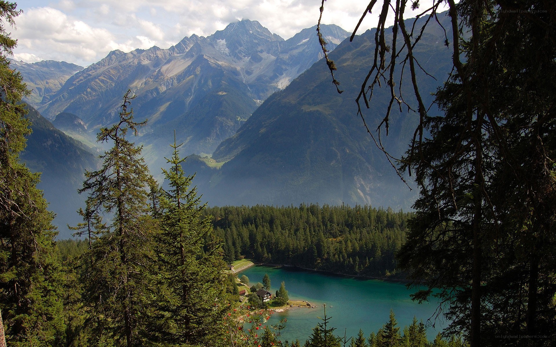 Mountain lake with forest view